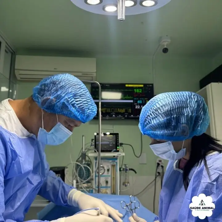Centro Cirúrgico Veterinário Moderno com Anestesia Inalatória e Monitorização