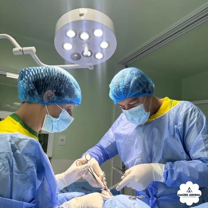 Procedimentos Cirúrgicos Esterilizados e Monitorização Multiparamétrica