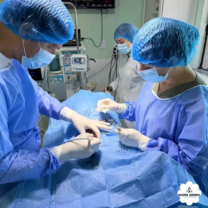 Bloco Cirúrgico Completo e Equipamentos Hospitalares de Suporte Intensivo