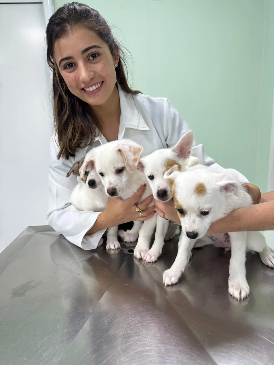Carinho, dedicação e acolhimento clínico humanizado aos cães e gatos
